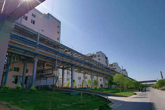 Yangnong Ningxia Ruitai Technology Co., LTD