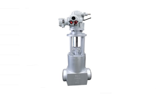 Imported wedge gate valve