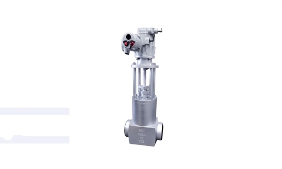 High-pressure gate valve