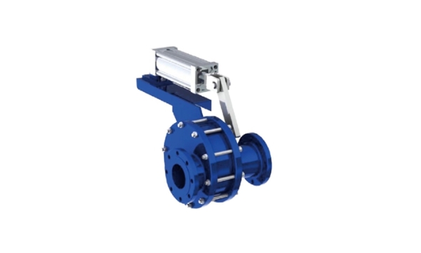 Imported disc valve