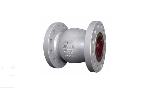 Imported axial flow check valve