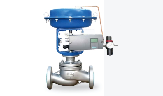 Single-seat control valve