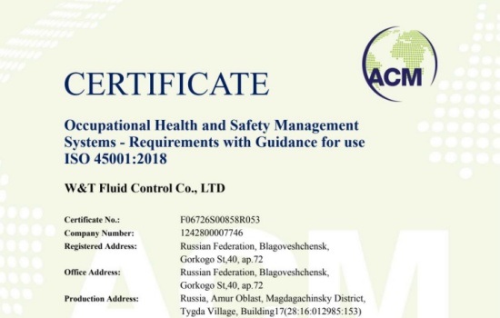 Viti ISO45001 Occupational Health and Safety Management System Certification in Russia