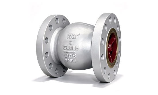Imported axial flow check valve