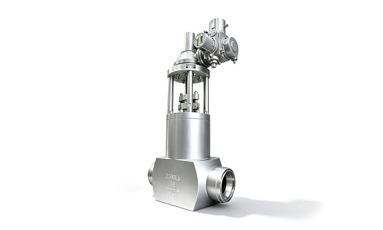 High-pressure gate valve