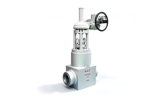 Imported wedge gate valve